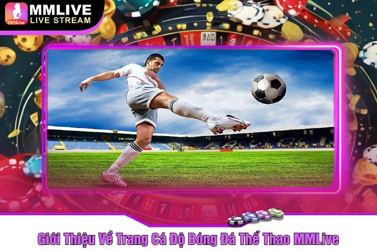 Giới Thiệu Về Trang Cá Độ Bóng Đá Thể Thao MMLive